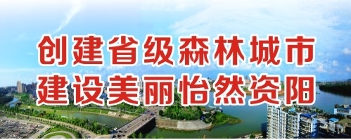 骚逼求操逼创建省级森林城市 建设美丽怡然资阳